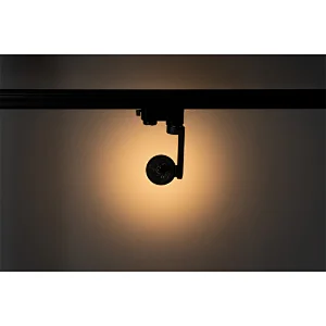 Showgun 10