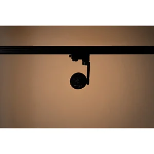 Showgun 20
