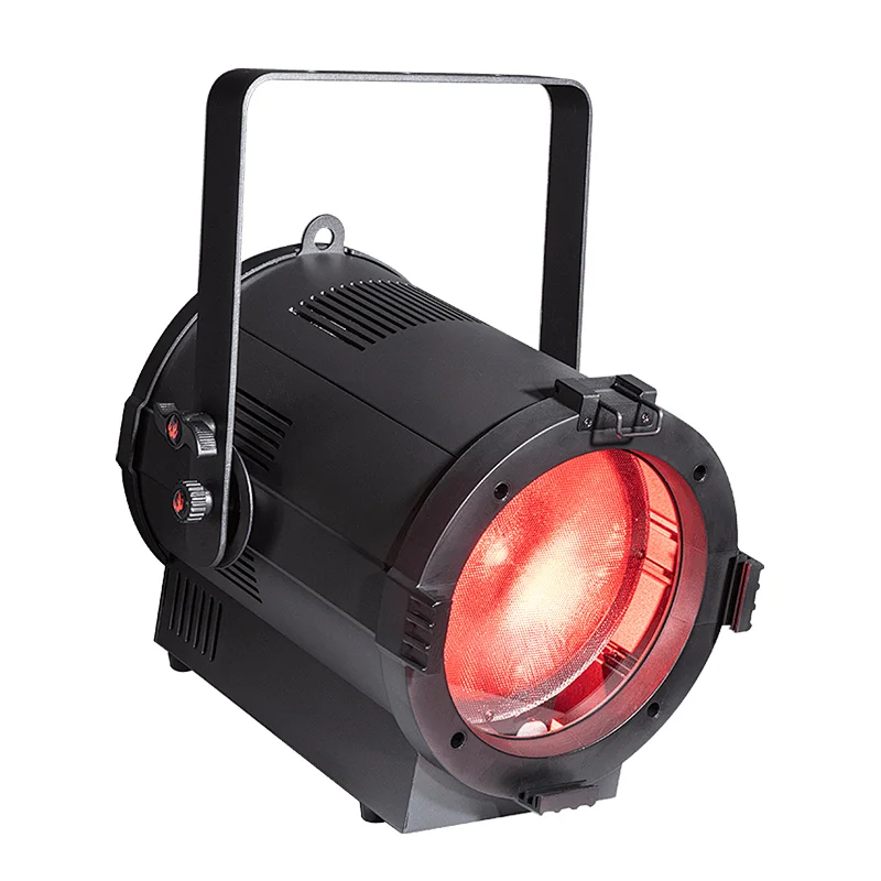 Pioneer 200C Zoom