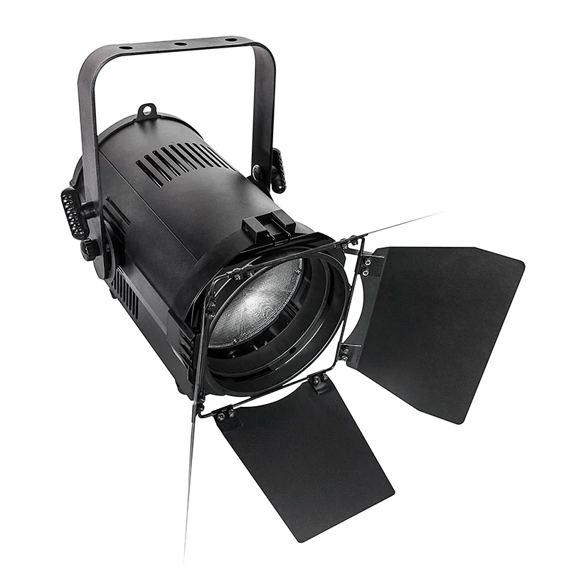 Pioneer 100 Zoom