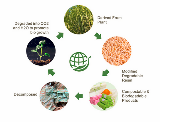PLA COMPOSTABLE