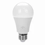 What are LED light bulbs?