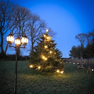 Brimax G40 Outdoor Garden String Lights 50ft Garden Patio Led String Light Outdoor