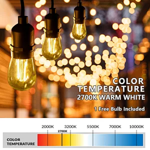RF remote control outdoor string light