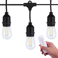 RF remote control outdoor string light