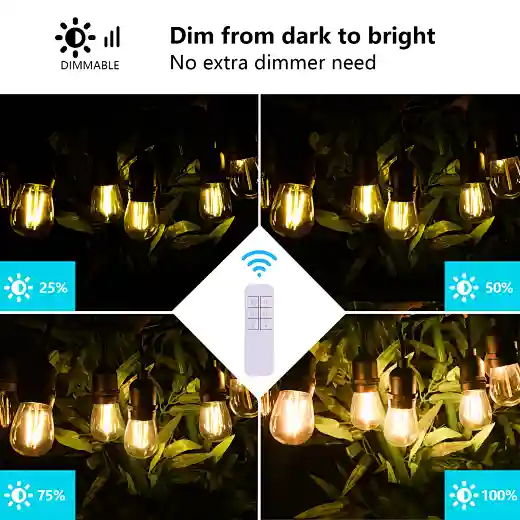 remote control outdoor light