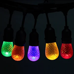 Outdoor Festoon PC Colorful LED String Light