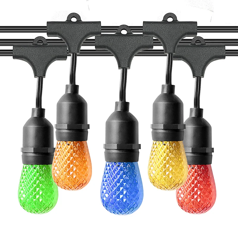Outdoor Festoon PC Colorful LED String Light