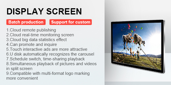 Display Screen