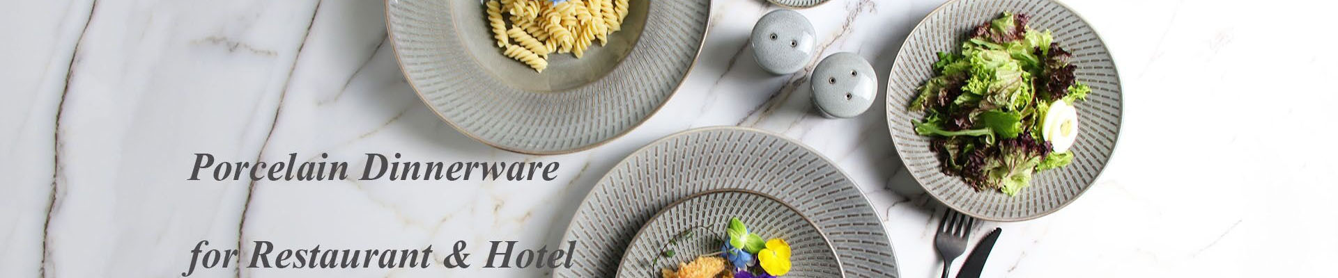 Porcelain Dinnerware for Hotel and Restaurant