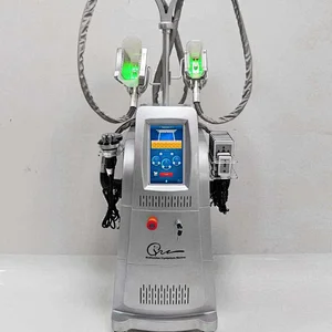 Vertical cryolipolysis machine/fat freezing criolipolisis cryotherapy machine price