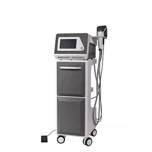 Fractional gold micro-needle RF acne machine removes stretch marks to remove wrinkle machine