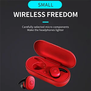 True wireless earbuds T19