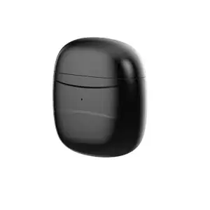 True wireless earphone T30