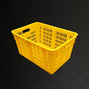 Plastic fruit storage basket
