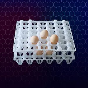 30 cells egg tray