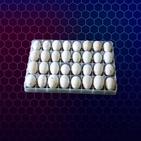 32 holes goose egg tray