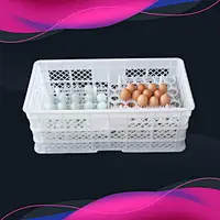 250mm height egg transport crate