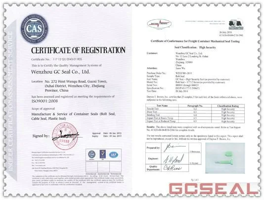 Certificate for Ali.jpg