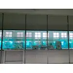A Test