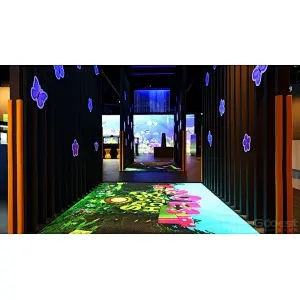 3d interactive floor projection games
