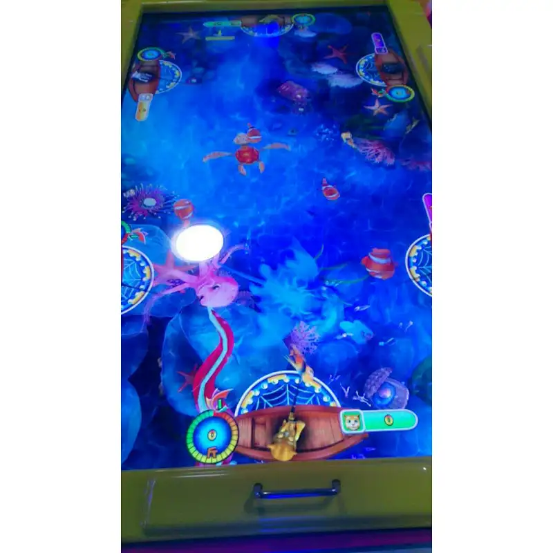 catch fish game machine