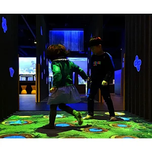 interactive floor projection games