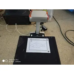 Interactive graffiti