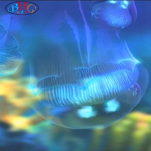 Holographic Skyscreen projection