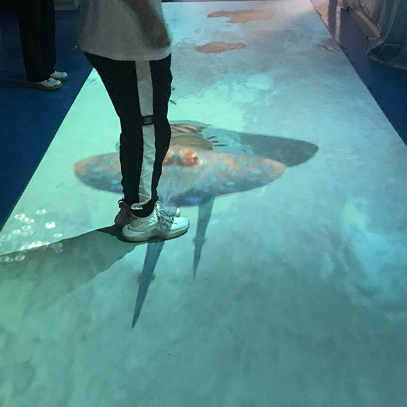 interactive floor projection game,interactive projection screen