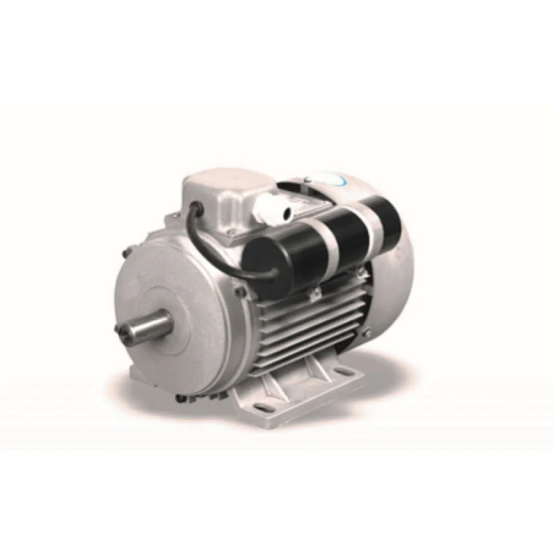 YC SERIES SINGLE PHASE INDUCTION MOTORS