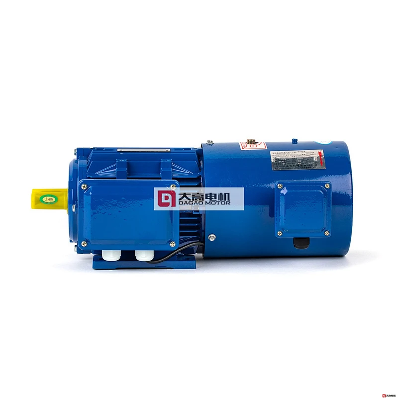 100HP/75KW YVF2-315S-6 Variable Frequency Adjustibale Speed Three -Phase Asynchronous Motor