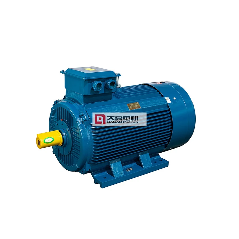176HP/132KW YE2-315m-2 High Efficiency Three-Phase Asynchronous Electric Motor