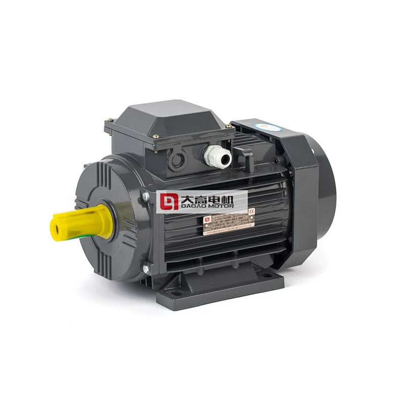 1HP/0.75KW YE2-80m1-6 High Efficiency Three-Phase Asynchronous Electric Motor