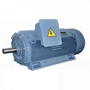 Y2 Series IP54 High-Voltage 355 ~ 560 mm Center High Three-Phase Asynchronous Motor