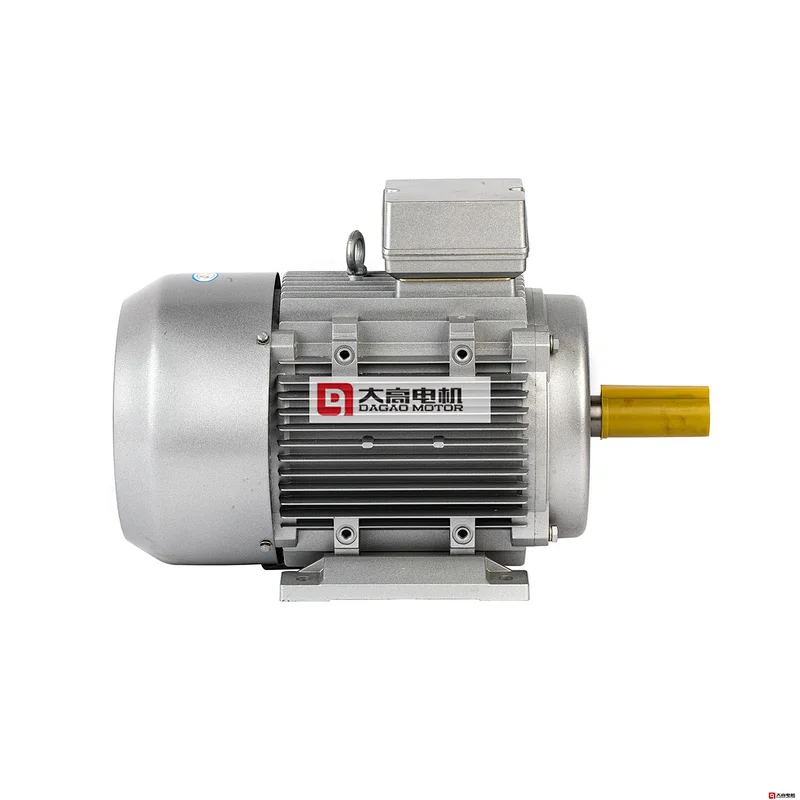 5.5HP/4KW YE2-112M-4 High Efficiency Three-Phase Asynchronous Electric Motor