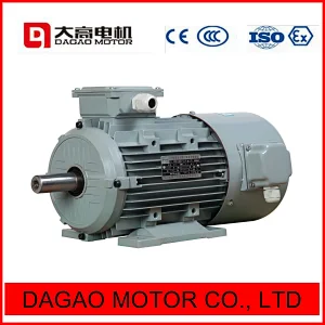 YE2 Series High Efficiency Three Phase Asynchronous Motor