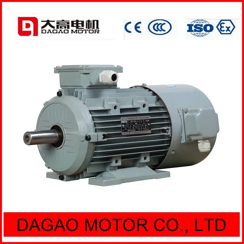 YE2 Series High Efficiency Three Phase Asynchronous Motor