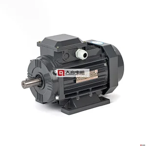 0.16HP/0.12KW YE2-63m1-4 High Efficiency Three-Phase Asynchronous Electric Motor