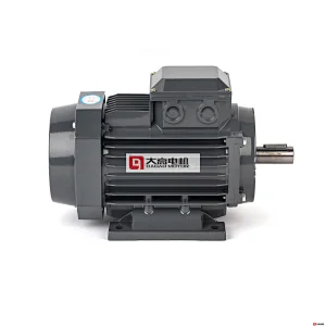 0.16HP/0.12KW YE2-63m1-4 High Efficiency Three-Phase Asynchronous Electric Motor