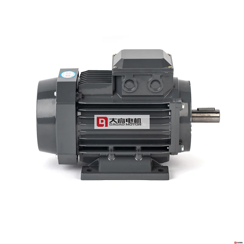 0.16HP/0.12KW YE2-63m1-4 High Efficiency Three-Phase Asynchronous Electric Motor