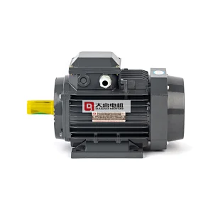 1HP/0.75KW YE2-80m1-6 High Efficiency Three-Phase Asynchronous Electric Motor