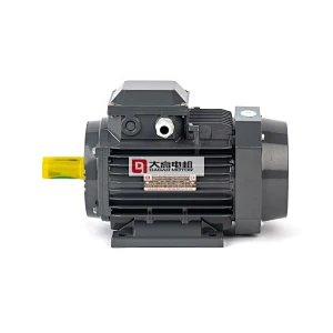 1HP/0.75KW YE2-80m1-6 High Efficiency Three-Phase Asynchronous Electric Motor