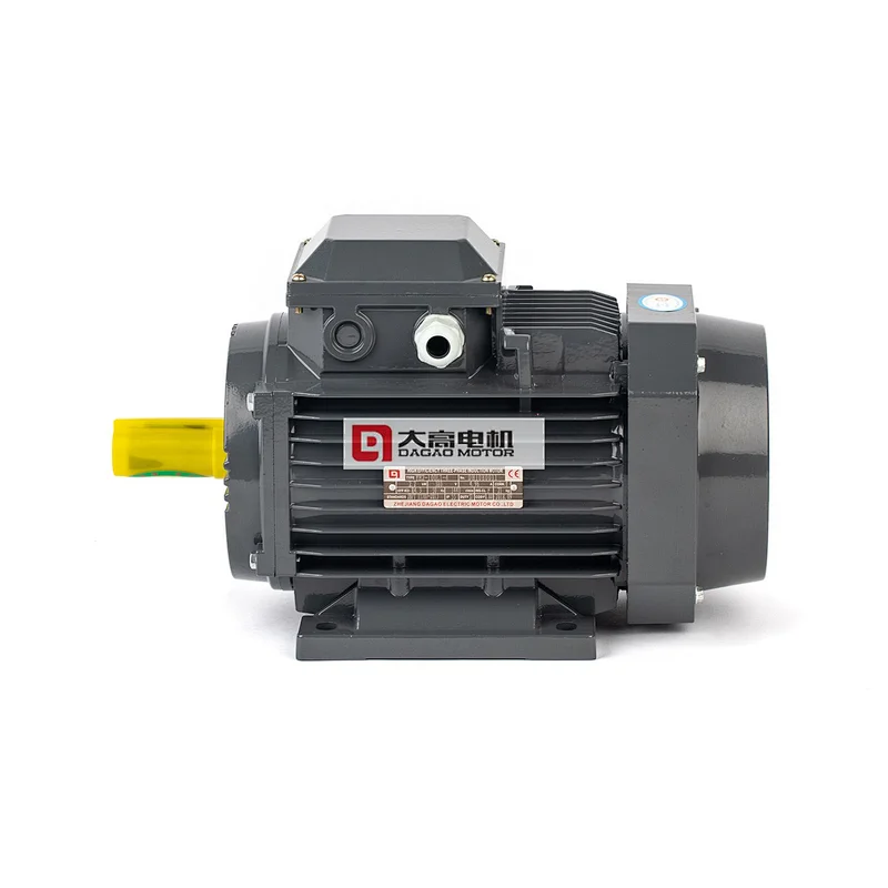 1.5HP/1.1KW YE2-80m2-6 High Efficiency Three-Phase Asynchronous Electric Motor