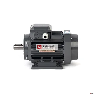0.16HP/0.12KW YE2-63m1-4 High Efficiency Three-Phase Asynchronous Electric Motor