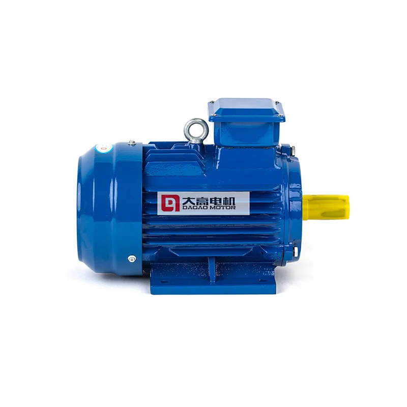 0.75HP/0.55KW YE2-80M2-6 High Efficiency Three-Phase Asynchronous Electric Motor