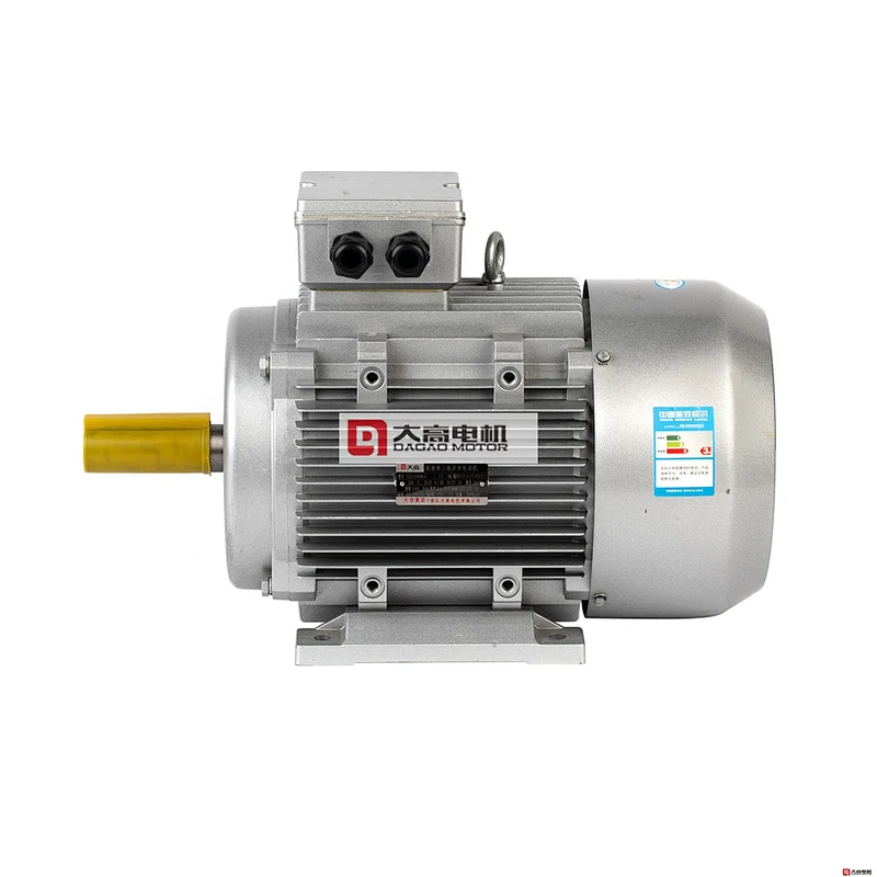 10HP/7.5KW YE2-132s2-2 High Efficiency Three-Phase Asynchronous Electric Motor