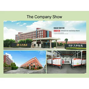 Yej2-180m-2 0.55~45kw Series 2940r/Min Electromagnetic Brake Three Phase Asynchronous Motor