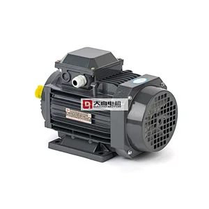 0.5HP/0.37KW YE2-71m1-2 High Efficiency Three-Phase Asynchronous Electric Motor