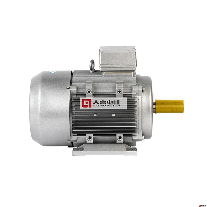 2HP/1.5KW YE2-90L-4 High Efficiency Three-Phase Asynchronous Electric Motor